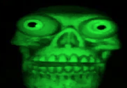 the skeleton