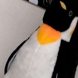 Pinguin