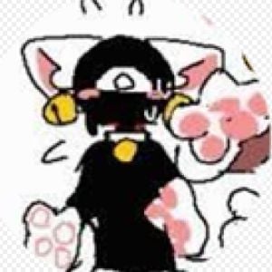 neko seek