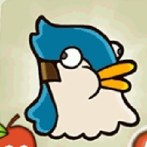 translator bird
