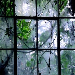 Trapped in a greenhouse