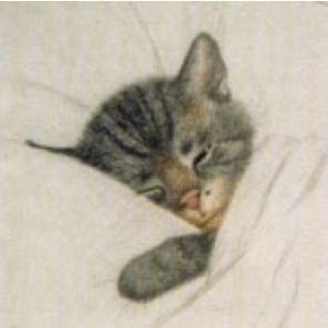 Chessie the railroad kitten