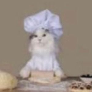 Chef Cat