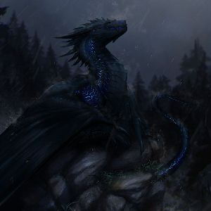Midnight Prince [AMKS]
