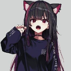 Officer