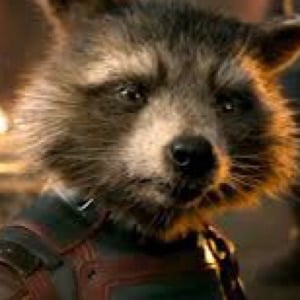 Rocket raccoon