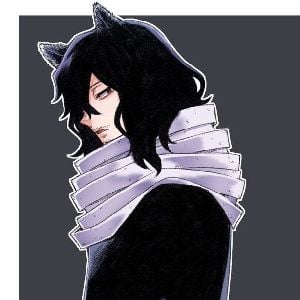 ⊹ ᨳ᭬ ▭ Aizawa Kitty⸝⸝ ᝬ