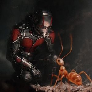 Scott Lang