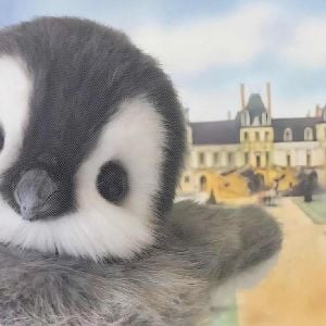 Cute Penguin