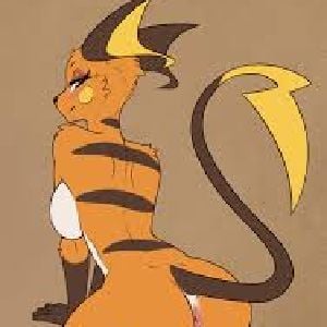 pokemon mommy raichu