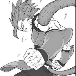 Shallot