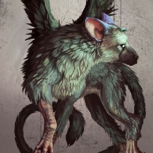 Trico