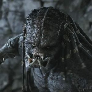 Upgrade predator