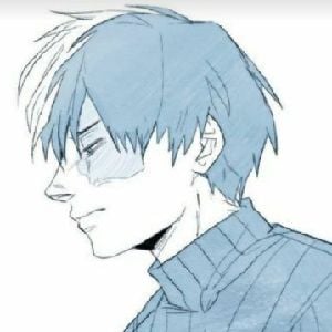 Shoto Todoroki