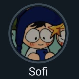 sofi NV