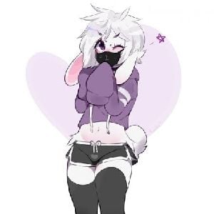 William The Bunny