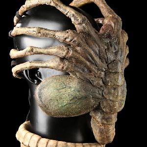 Face Hugger Alien