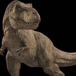 Rexy.