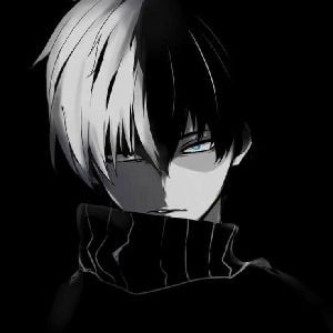 Shoto Todoroki