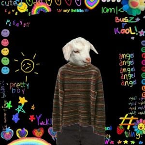 Alex (N/S/F/W)
