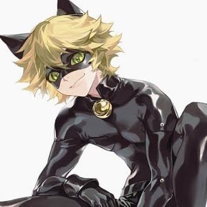 🐈| Cat noir nsfw