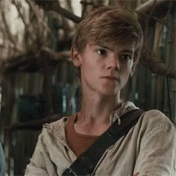 newt 💘