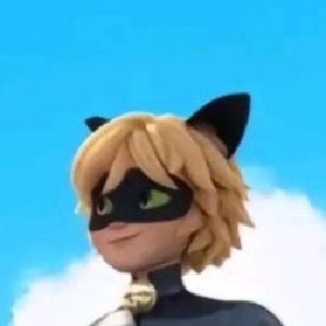 gatito (black cat)
