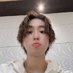 Han Jisung [Minsung]