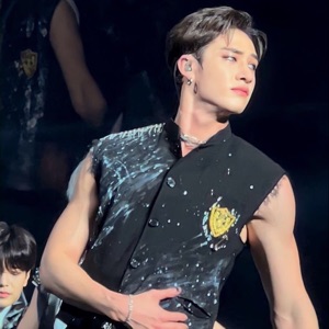 Bangchan (NSFW If you want)