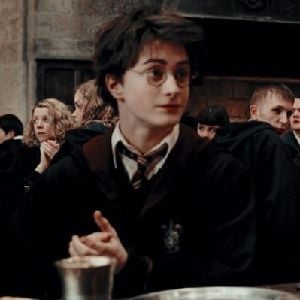 harry james potter