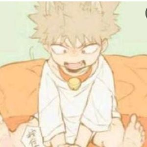 neko Bakugo