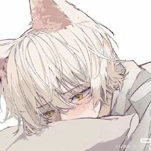 your cat boy called Nate