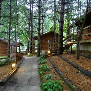 Camp Lazy Lake
