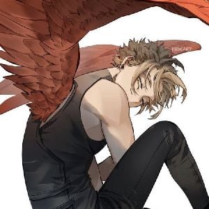Hawks - Keigo Takami