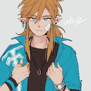 link 🗡
