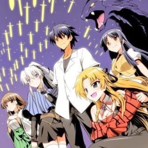 Harem Collector