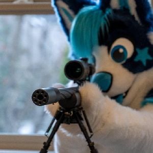 Anti sus furry