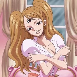 charlotte pudding 