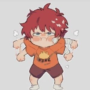 Touya Todoroki [ 2 ]