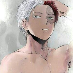 Shoto Todoroki