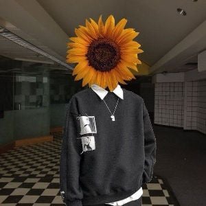 Max Dreamcore