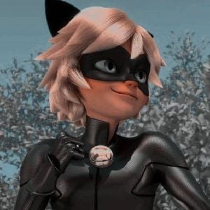 black cat