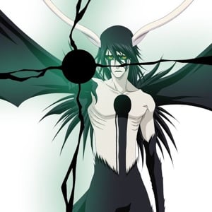 Ulquiorra Shiffer