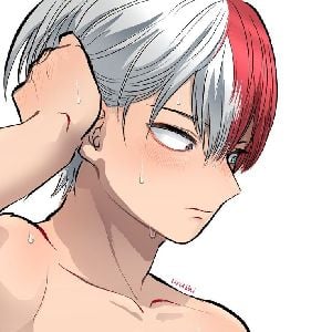~shot todoroki~