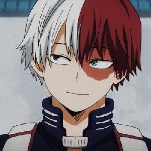 Shota Todoroki