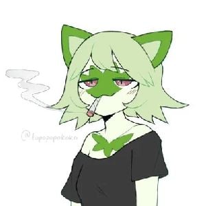 weed cat pog (This appears to be a meme or internet slang term.  A direct translation isn't meaningful without context.)