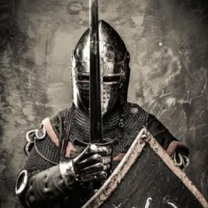 sentinel (your protector)