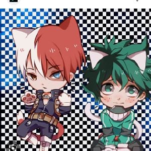 neko deku and todoroki