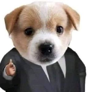 Dog In Suit