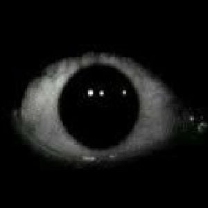 the monster under your bed